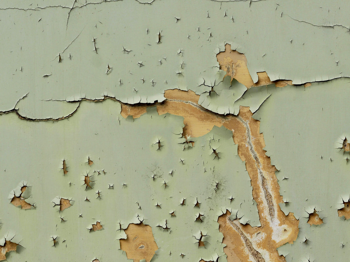 lead paint